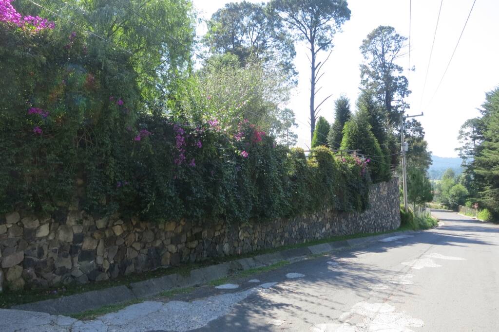 Calle