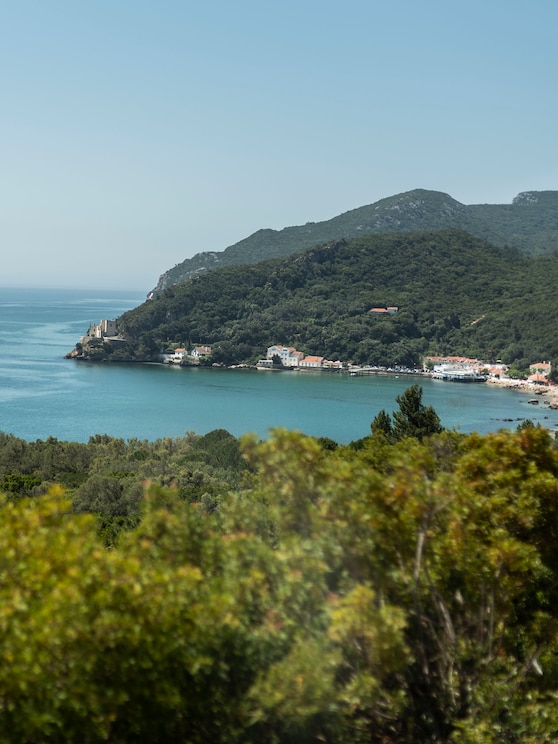 Teljes képernyős, a házigazda által biztosított kép megjelenítése