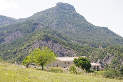 Delphine's cottage