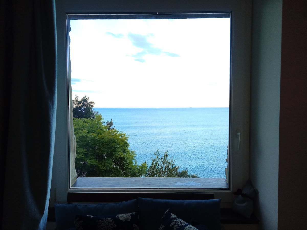 A large window frames a serene view of the calm sea, with greenery in the foreground. The ocean reflects soft hues of blue, while distant clouds gently drift across the sky, creating a peaceful atmosphere.
