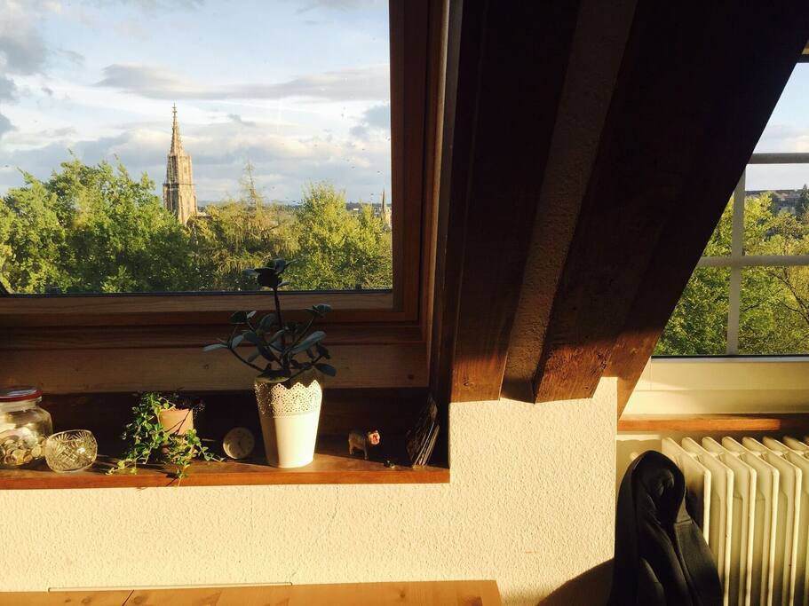 View from the livingroom