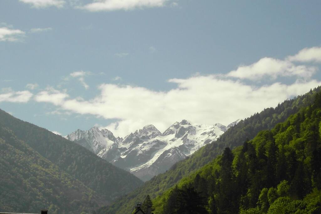 la vue que vous aurez depuis le balcon
