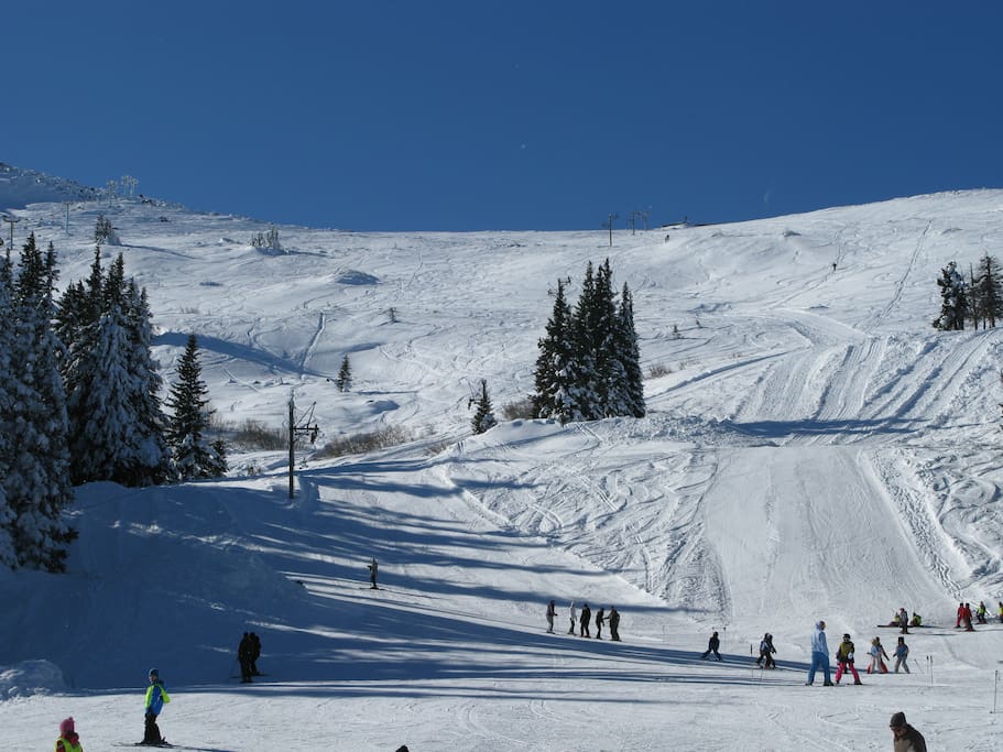 In front of Aleko Hut in winter