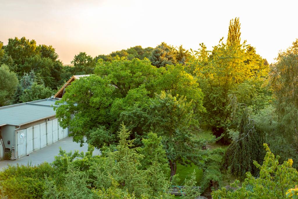 Garten Blick