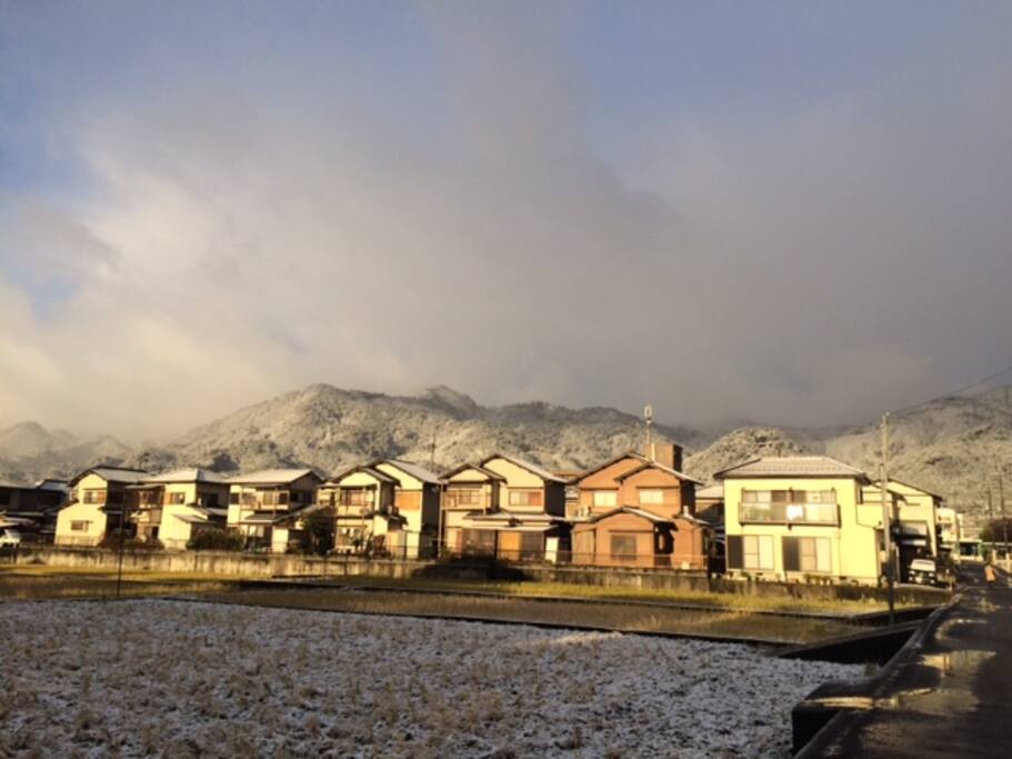 从后窗看到的雪景