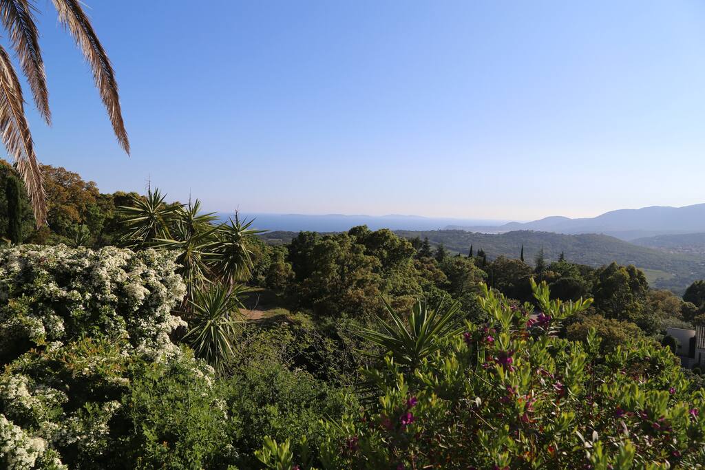 Garden / Végétation