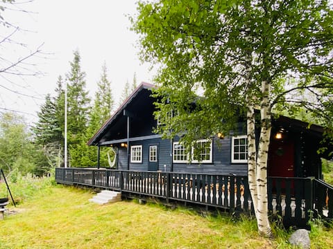 Big cabin 28 minutes drive from Kjerag. WiFi