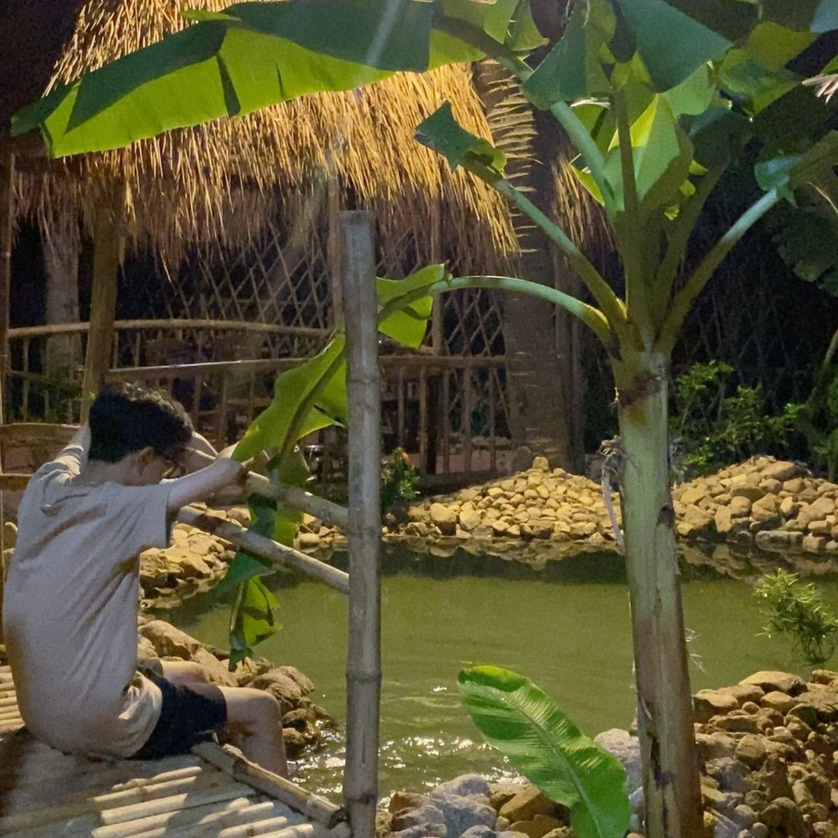 An outdoor seating area features a bamboo structure with verdant banana trees surrounding a tranquil pond. Soft lighting creates a serene atmosphere, while smooth stones line the water's edge, enhancing the natural setting.