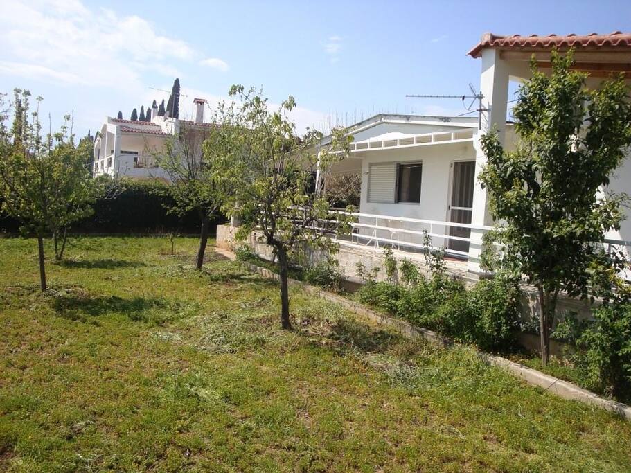 The garden
