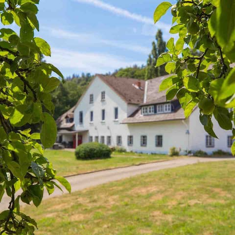 Airbnb Wahlsburg Holiday Rentals Places To Stay Hesse