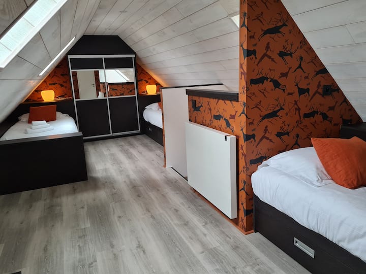Chambre 5, 2ème étage avec 3 lits simples, télévision et salle d'eau privative.