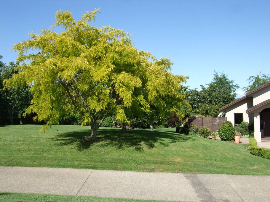 The beautiful garden surrounding the lovely home.