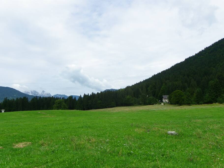Remote Location on Nature Reserve