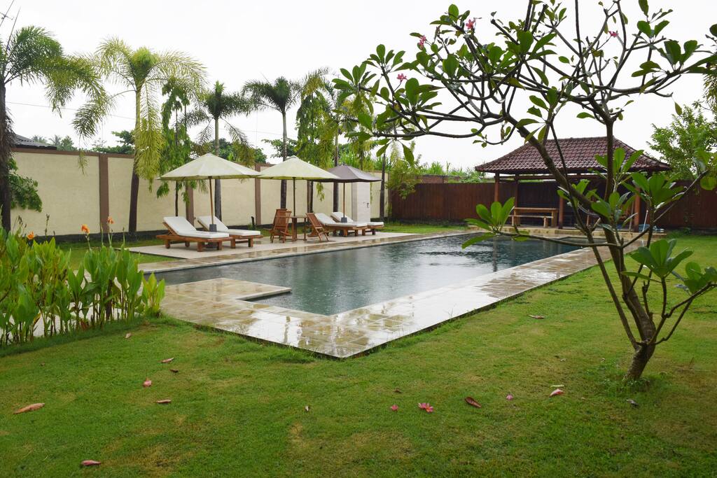 Swimming pool and Patio