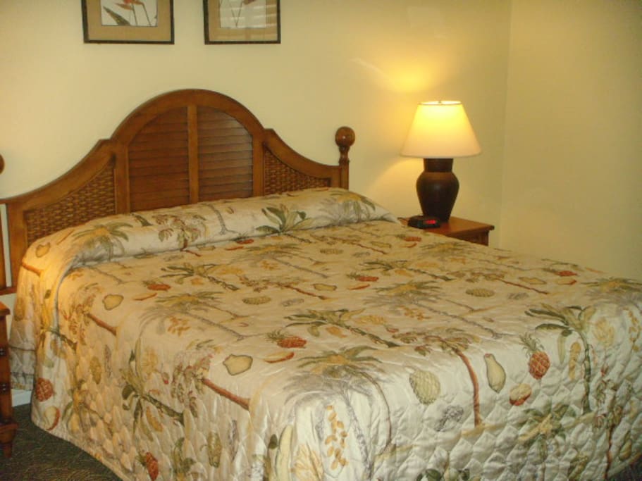 Master bedroom, King bed, air conditioned.