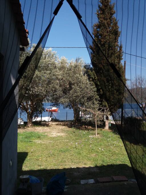 Good morning! View from the door