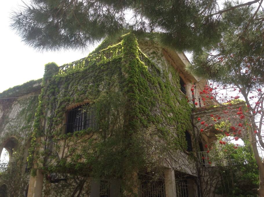Picture of the house taken from the north-western side. You can see the room and it's private balcony in the upper center of the image