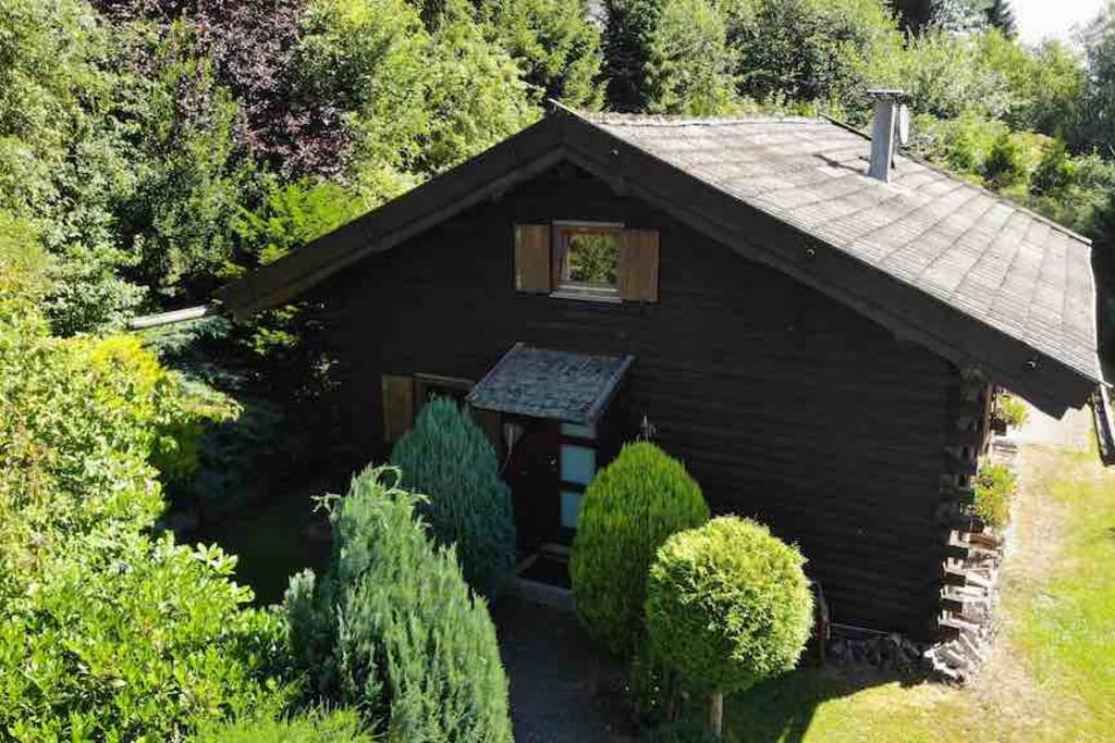 Chalet Willingen