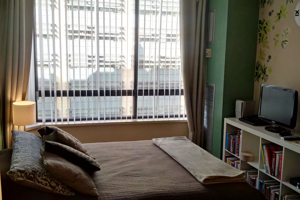 Brand new queen bed