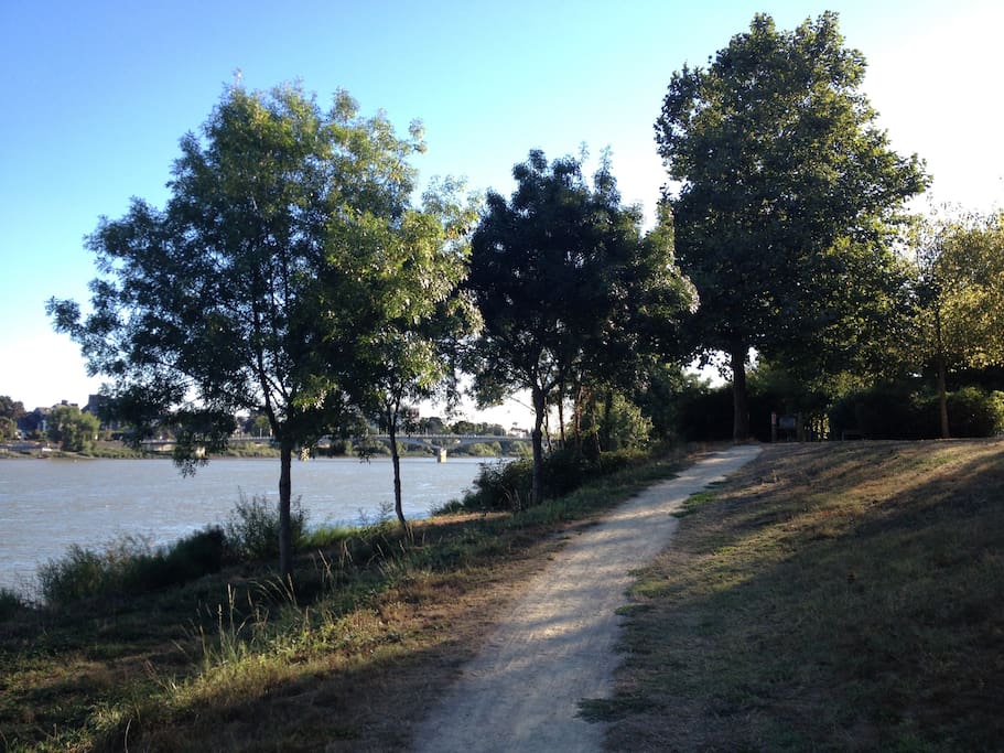 En allant au parc