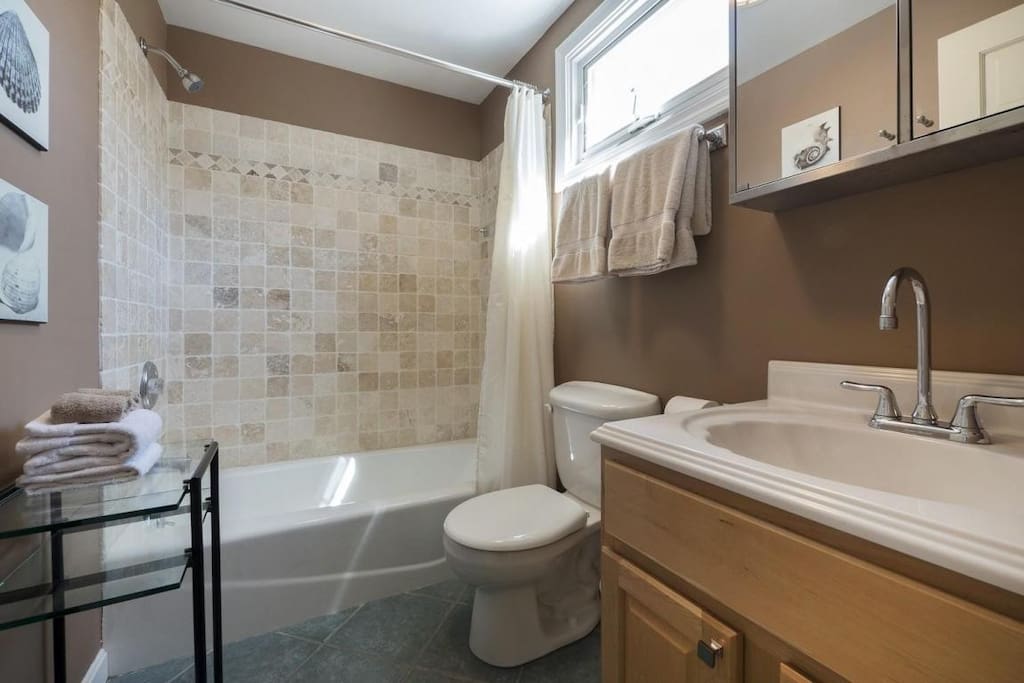 Bathroom with stand up shower and large bath tub