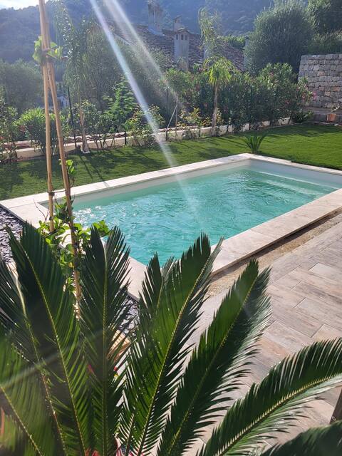 House with pool French Riviera