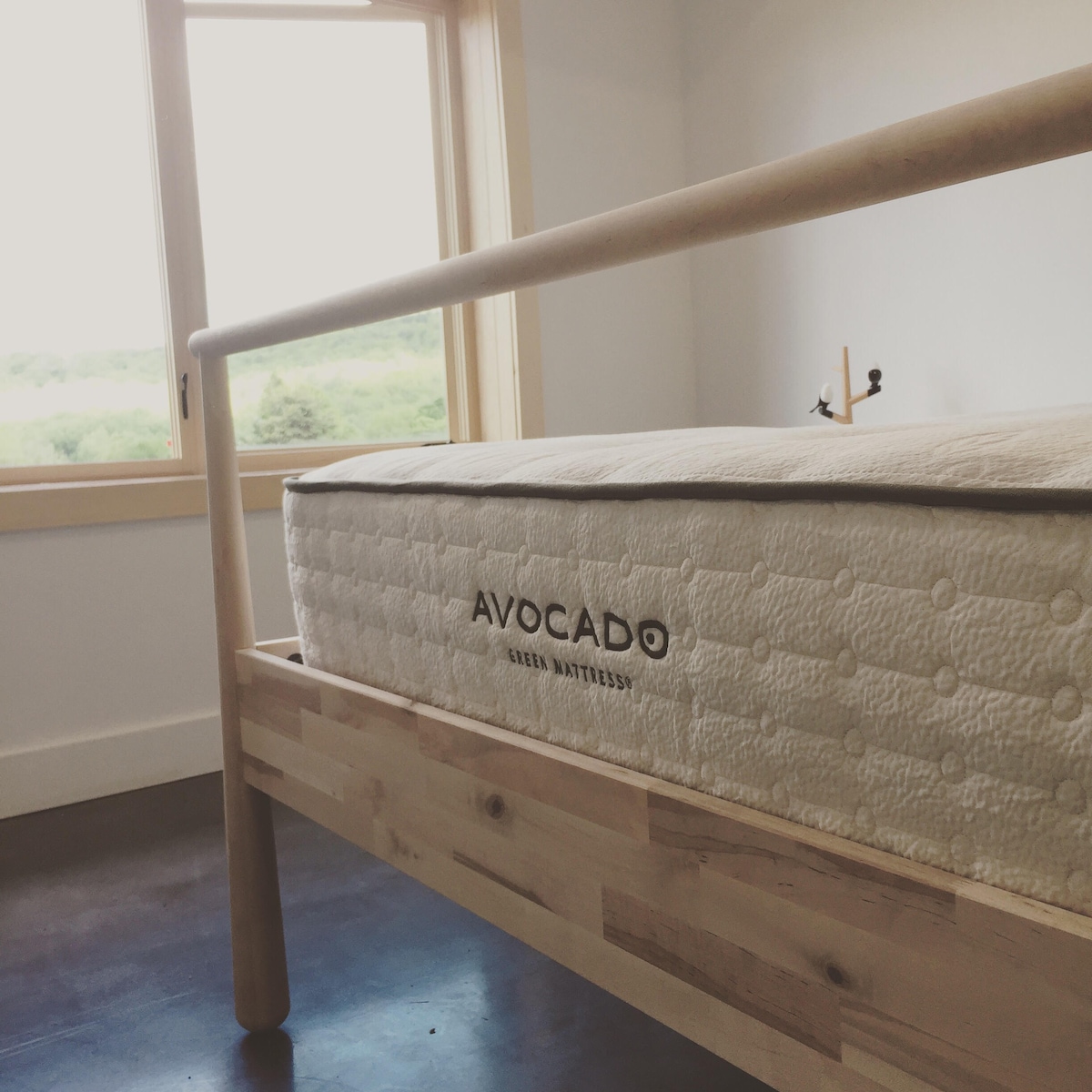 Si no has dormido en un aguacate, estás de suerte