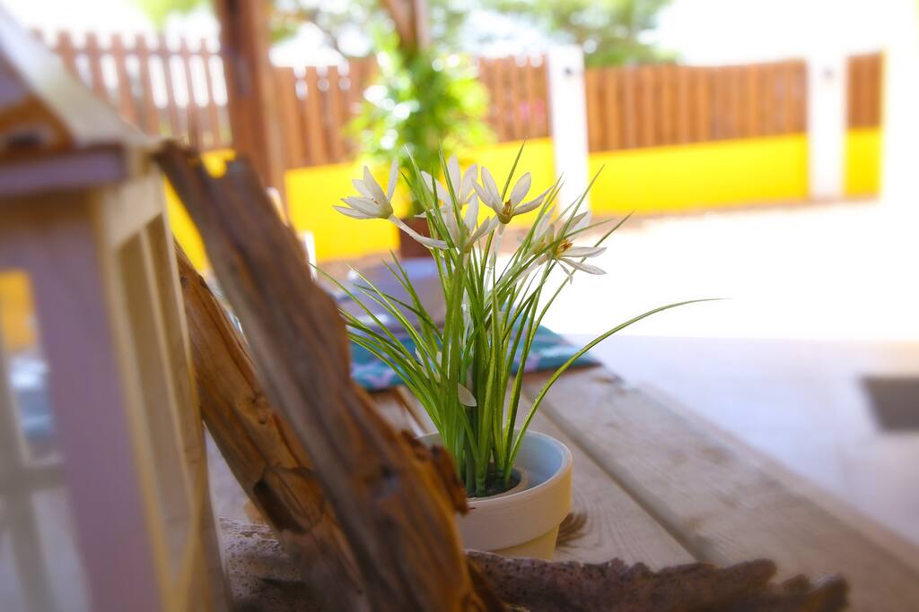 Driftwood deco... for sale items!!!