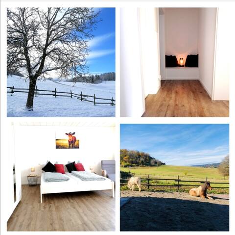 Southern Black Forest: Kaiserhof for families