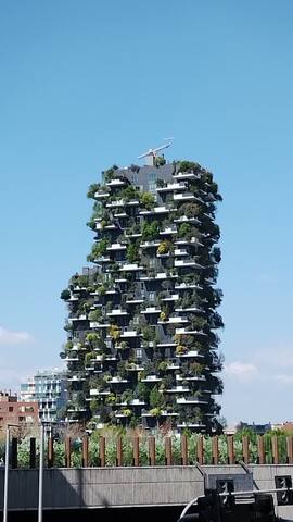 Haven of peace in Milan gallery image 5