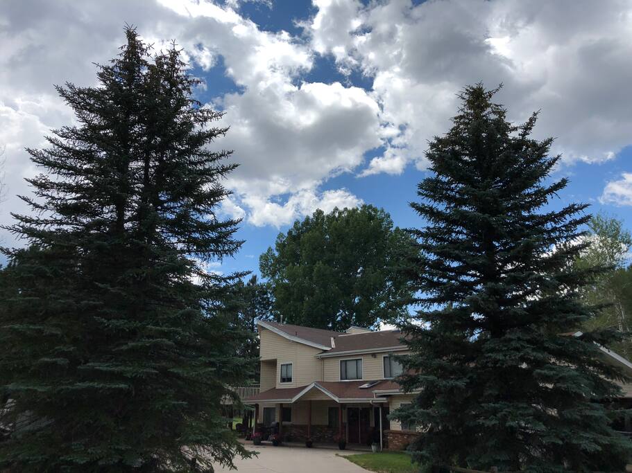 Beautiful Shaded Lot