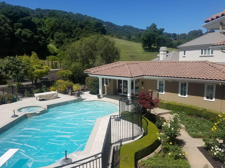 Backs to Pleasanton Ridge