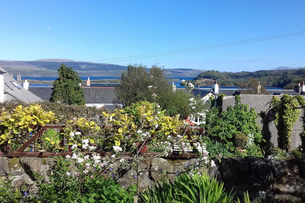 Apple Blossom Time in Tobermory