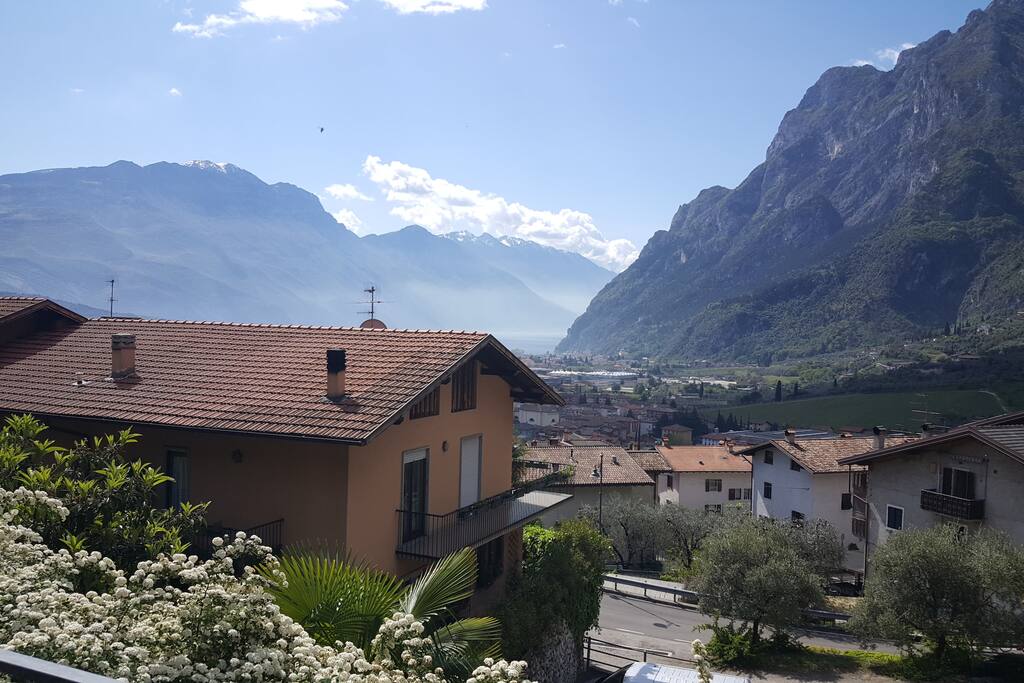 Vista