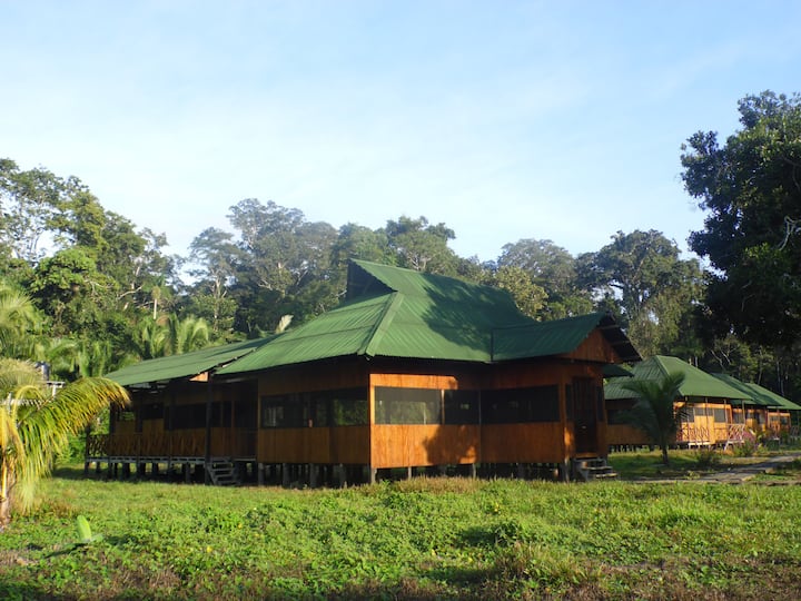 სურათი 1 განცხადებაში „Aguajal Manu Lodge“