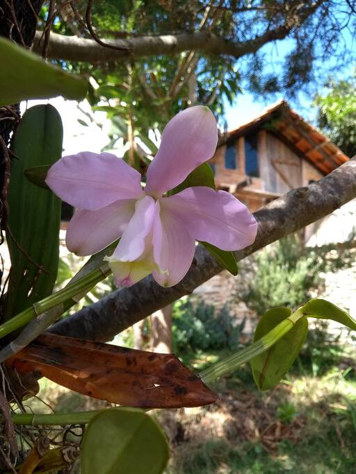 Nosso Jardim está sempre florido pra te receber