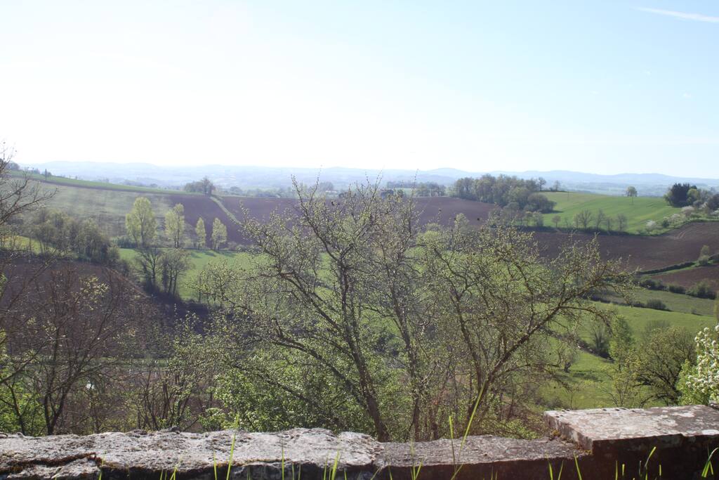 vue du jardin