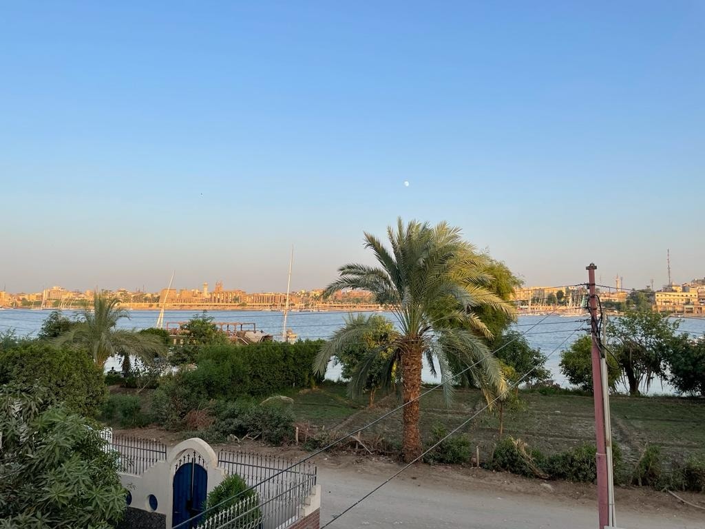 A scenic view of the Nile River is captured, with palm trees framing the image. The water reflects the clear sky, and distant buildings are visible along the riverbank, creating a serene riverside ambiance.
