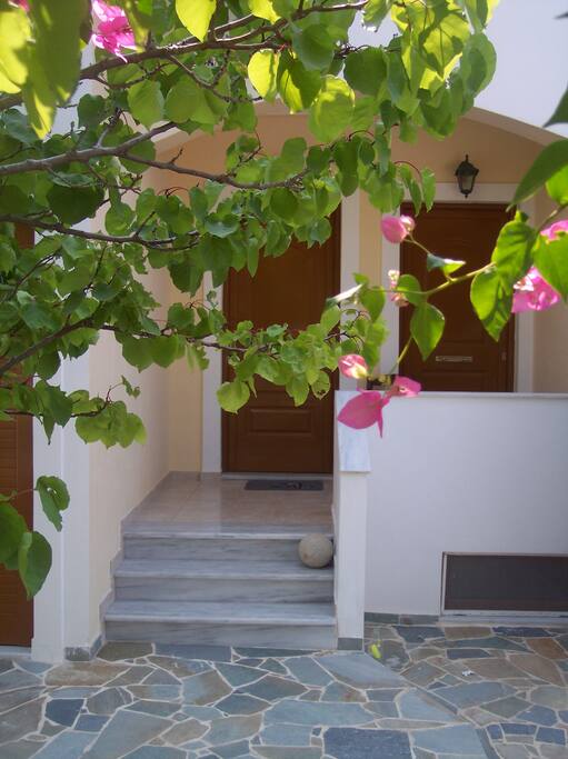 L'entrée, sous le bougainvillier
