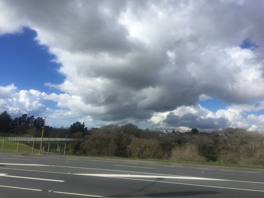 View across the road towards Unitec and the Oakley Creek Walkway