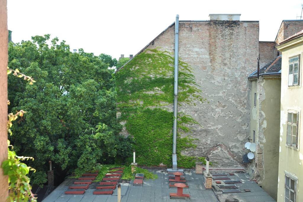 view from the bedroom; birds singing in the morning