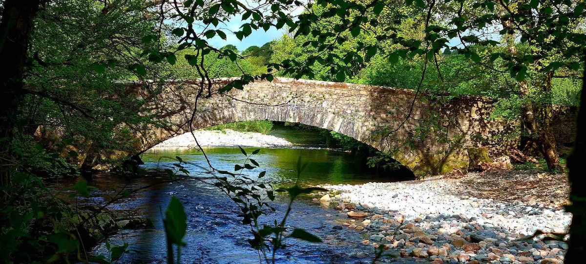 A stone bridge arches over a gently flowing river, surrounded by a lush canopy of greenery. The riverbed is composed of smooth stones, and dappled sunlight filters through the leaves, creating a serene natural landscape.