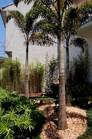 Beautiful house with view in Rio. Entire HouseOnly gallery image 5