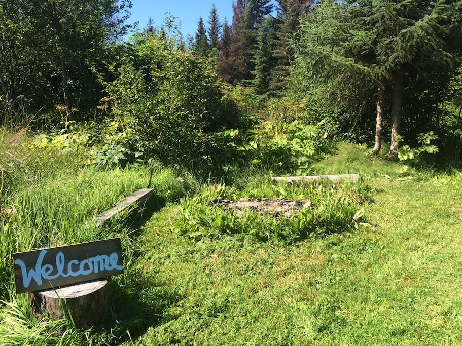 Fire pit area.