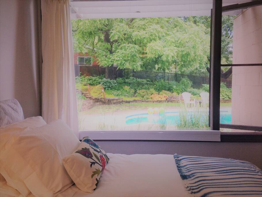 View of the pool