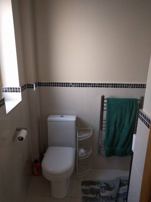 Private Ensuite bathroom with shower.