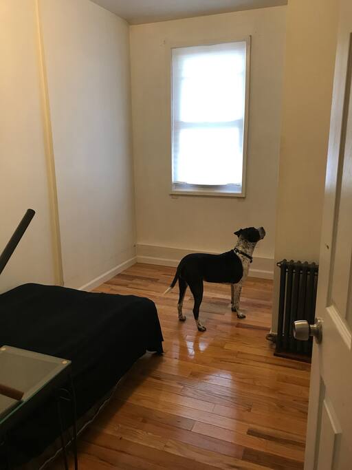 Outer view of bedroom along with very friendly dog who never goes in here :)