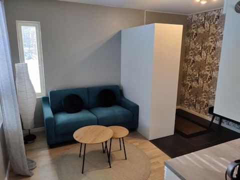 Popular Airbnb listing: Cozy guest suite with its own parking space in Jyväskylä