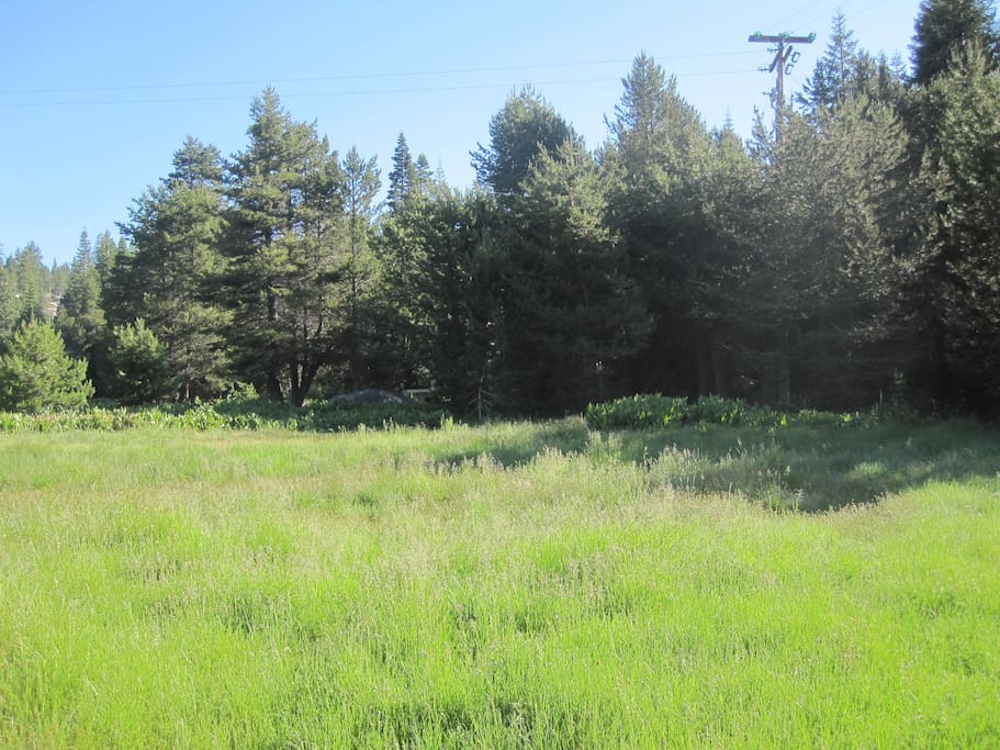 Here is a shot of the meadow area- soon the grass will get cut to make it a great area to camp or play