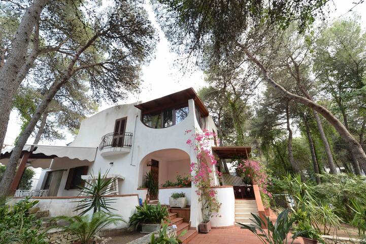 Villa Elisabetta – Per famiglie -Bandiera Blu 2025